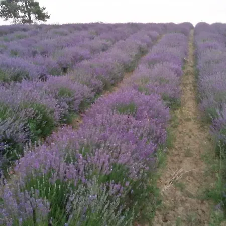 Cascina Grattinera 3* Sale San Giovanni